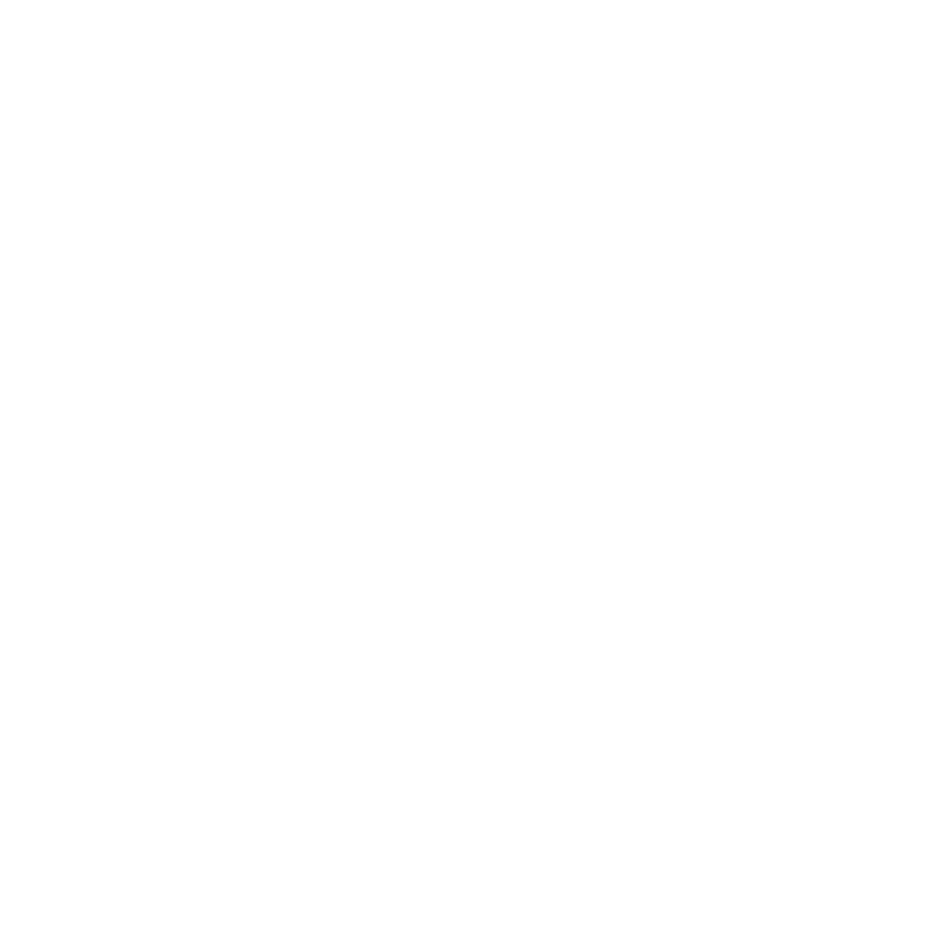 ШШГГ Logo